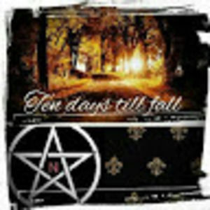 Meet your Posher, 10 days